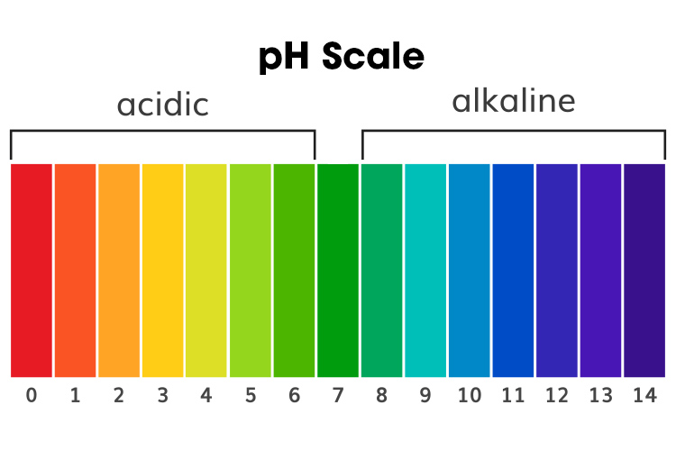 Interpreting Abgs Arterial Blood Gases Made Easy Ausmed