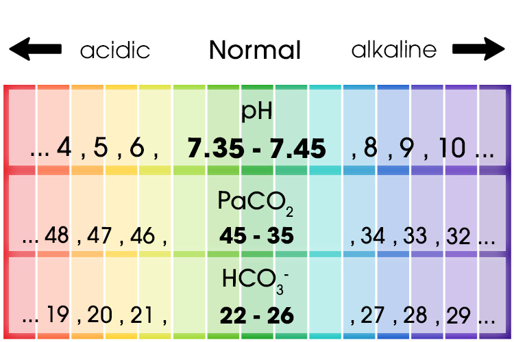 Normal Arterial Blood Gases Chart