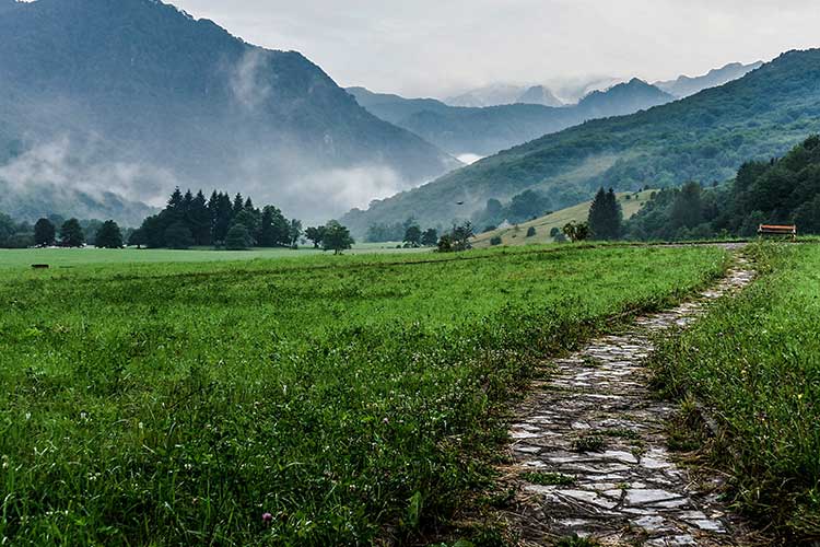 Scenic view of mountains and paddocks | Image