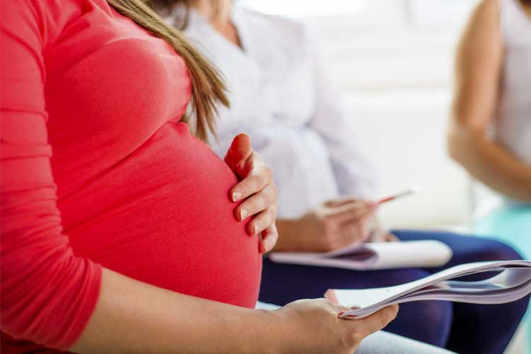 Pregnant woman holding a notebook at a meeting | Image