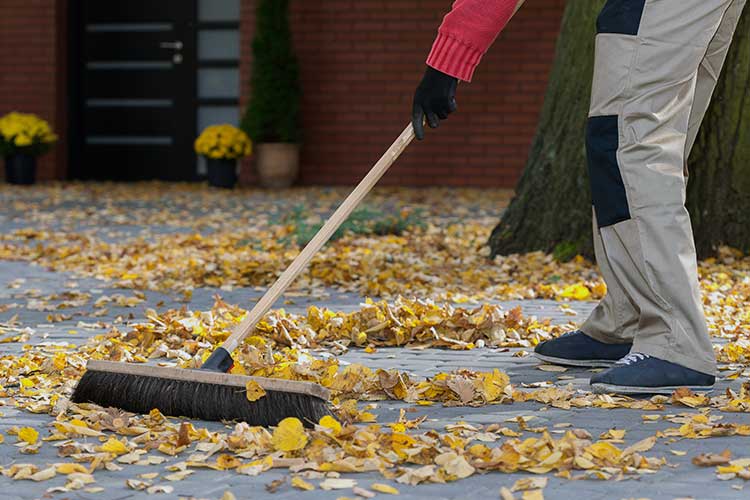 sweeping leaves in backyard to prevent falls outside