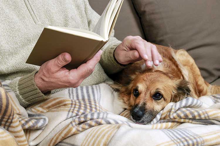 client with dog on couch