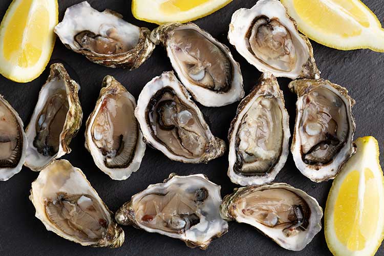 oysters