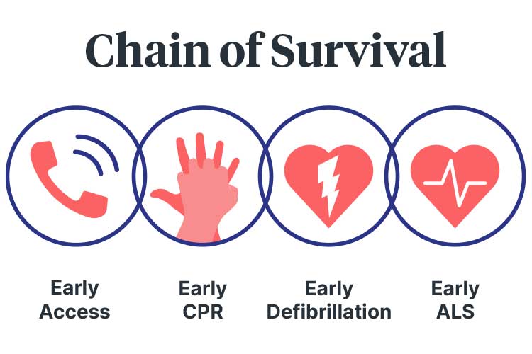 Adult Basic Life Support Bls Using Drsabcd Ausmed