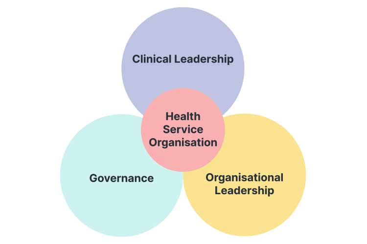 health service organisation leadership diagram