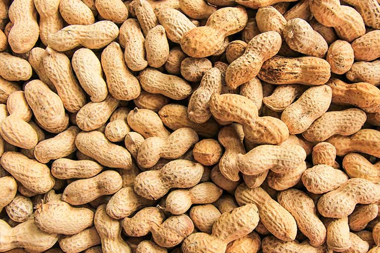 anaphylaxis food peanuts