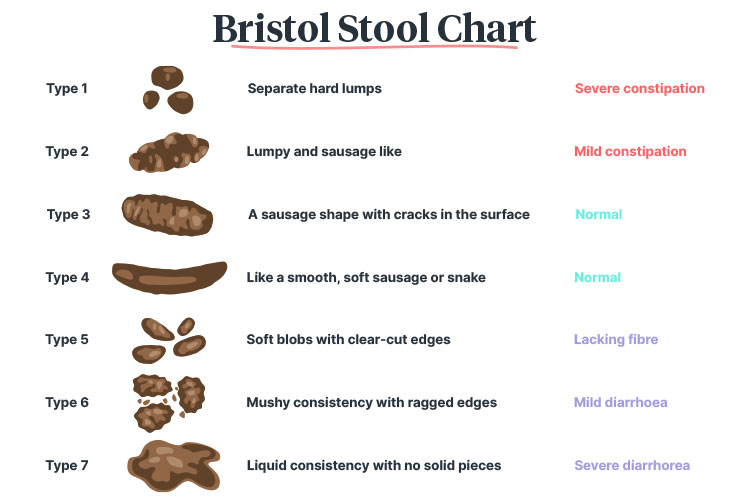 diarrhoea bristol stool chart