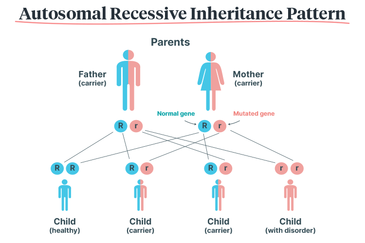 haemoglobin disorders autosomal recessive inheritance pattern